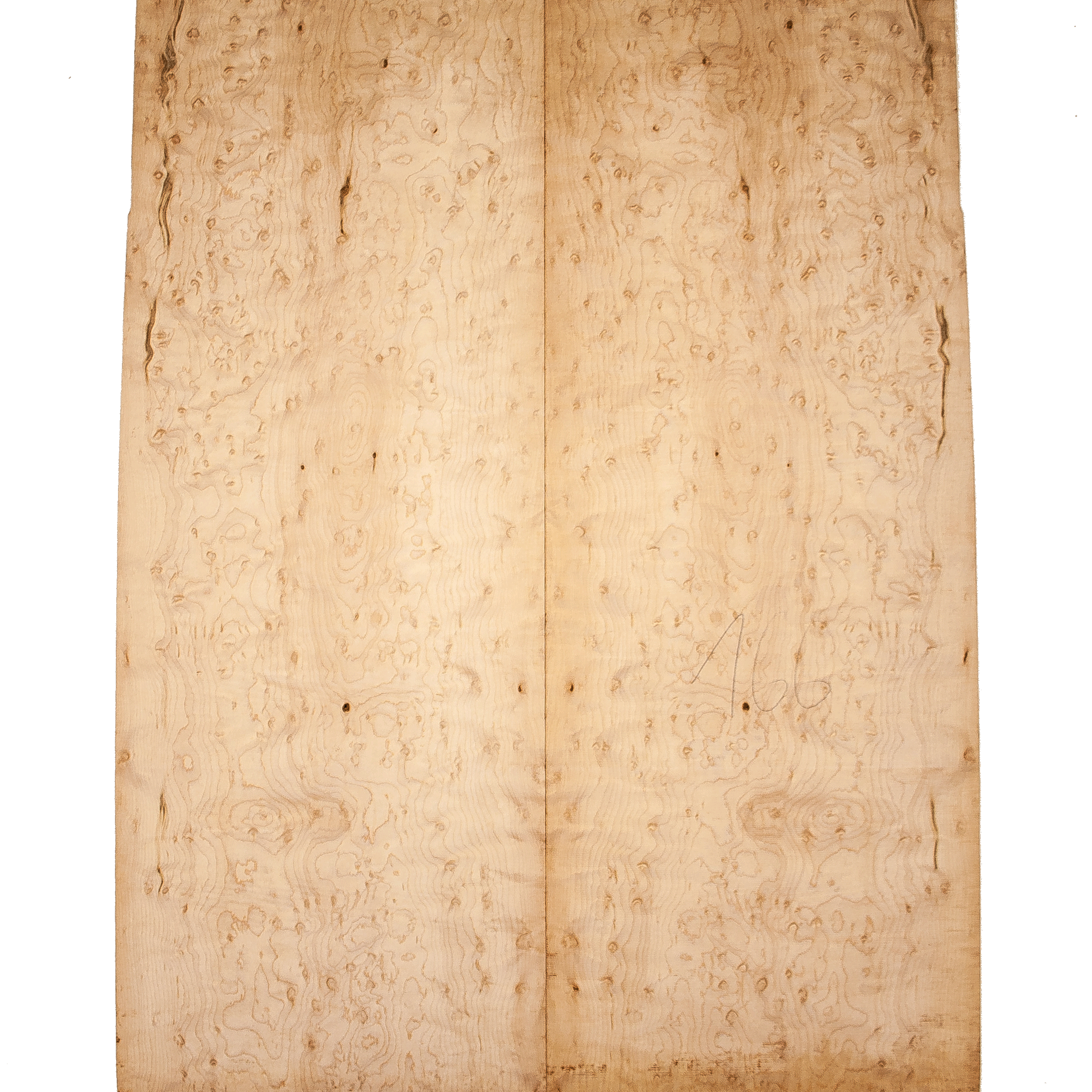 Bird's eye maple